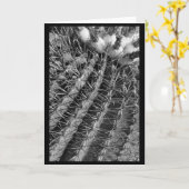 Carte Barrel Cactus (Fleur jaune)