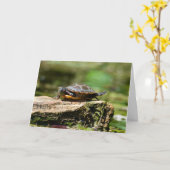 Carte Bashful Turtle Birthday Card, 5x7 (Fleur jaune)