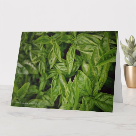 Carte Basil Fine Art (Petite plante)