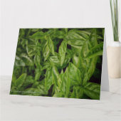 Carte Basil Fine Art (Devant)