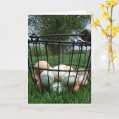 Carte Basket d'Eggs (Fleur jaune)