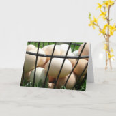 Carte Basket d'Eggs (Fleur jaune)
