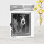 Carte basse hound (Fleur jaune)