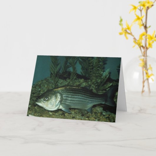 Carte Basse striée (Fleur jaune)