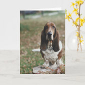 Carte Basset Hound (Fleur jaune)