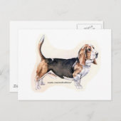 Carte Basset Hound (Devant / Derrière)