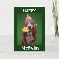 Basset Hound Anniversaire Lollipop