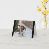 Carte Basset Hound avec lunettes de soleil (Fleur jaune)