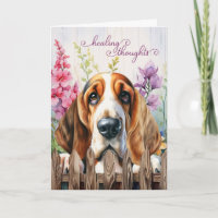 Basset Hound Chien Jardin Gladiolus Se tirer bien