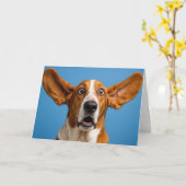 Carte Basset Hound Surpris Anniversaire (Fleur jaune)