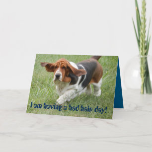 Carte Basset Hound with "bad hair day" greeting card