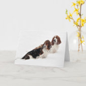 Carte "Basset Hounds in the Wild" (Fleur jaune)