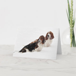 Carte "Basset Hounds in the Wild"
