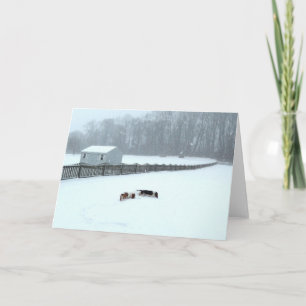 Carte "Basset Hounds in the Wilds" series greeting cards