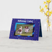 Carte Basset Hounds on Funny Birthday Card avec gâteau (Fleur jaune)