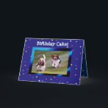 Carte Basset Hounds on Funny Birthday Card avec gâteau<br><div class="desc">Basset Hounds on Funny Birthday Card avec gâteau</div>