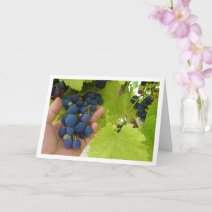 Carte Bassin de raisin rouge à la main