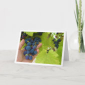 Carte Bassin de raisin rouge à la main (Devant)