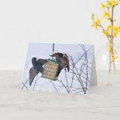 Carte Bataille entre Northern Flicker et Starling ! (Fleur jaune)