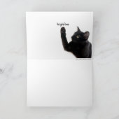 Carte Batcat (Intérieur)