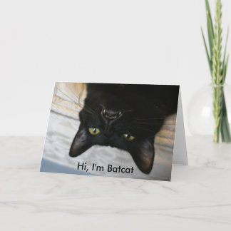Carte Batcat