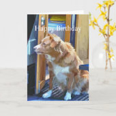 CARTE BATEAUX DE CANAL (Fleur jaune)