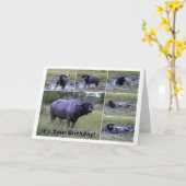 Carte Bath de boue de Buffalo de cap de joyeux (Fleur jaune)