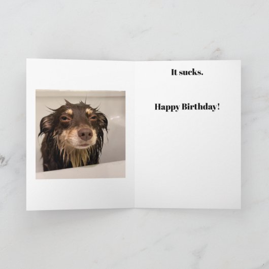 Carte Bath Time Birthday Card (Intérieur)
