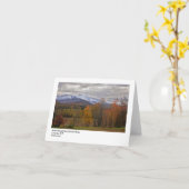 Carte Bâti Mansfield de Vall agréable… (Fleur jaune)