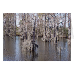 Carte Bayou Louisiana