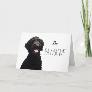 Carte Be Pawsitive - Labradoodle