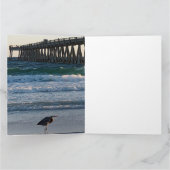 Carte Beach announcement postcard (Intérieur)