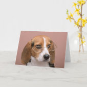 Carte Beagle (Fleur jaune)