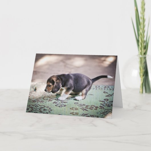 Carte Beagle bébé et feuille (Devant)