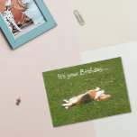 Carte Beagle Birthday Card (Funny)<br><div class="desc">A Beagle Birthday card with a little humor inside. The perfect card for a Beagle lover!</div>