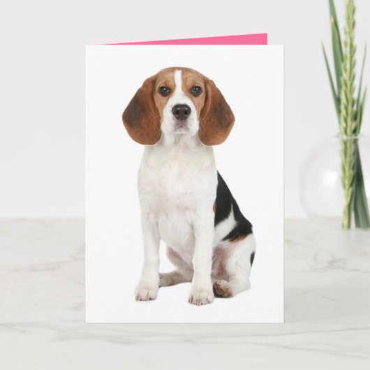 Carte Beagle Chien Chien Chien Chignon Bonjour penser à  (Devant)