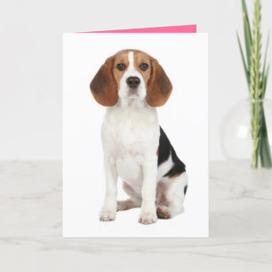 Carte Beagle Chien Chien Chien Chignon Bonjour penser à 