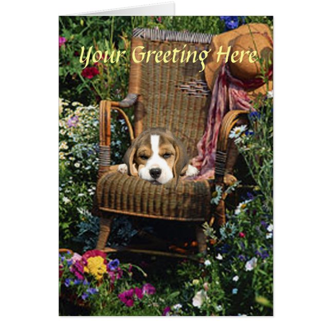 Carte beagle En Chaise Jardin (Devant)