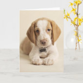 Carte Beagle Puppy (Fleur jaune)