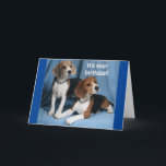 CARTE **BEAGLES** WISHING A VERY HAPPY BIRTHDAY**<br><div class="desc">BEAGLE WISHING A "HAPPY BIRTHDAY" IS A RARE THING DON'T YOU THINK. YOU CAN CHANGE THE VERSE AND ADD THE  AGE IN SECONDS ON ALL MY CARDS AT ALL 9 STORES. AND I WANT TO SAY THANK YOU FOR STOPPING BY!</div>