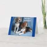 CARTE **BEAGLES** WISHING A VERY HAPPY BIRTHDAY**<br><div class="desc">BEAGLE WISHING A "HAPPY BIRTHDAY" IS A RARE THING DON'T YOU THINK. YOU CAN CHANGE THE VERSE AND ADD THE  AGE IN SECONDS ON ALL MY CARDS AT ALL 9 STORES. AND I WANT TO SAY THANK YOU FOR STOPPING BY!</div>