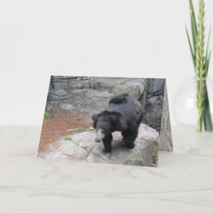 Carte Bear y Happy Fun Lovin' Monkeying autour de l'anni