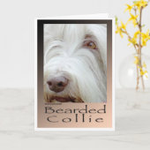 Carte Bearded Collie (Fleur jaune)