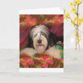 Carte Bearded Collie (Fleur jaune)