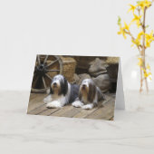 Carte Bearded Collie (Fleur jaune)