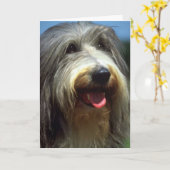 Carte Bearded Collie (Fleur jaune)