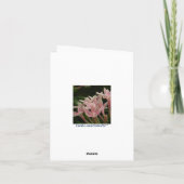 Carte Beardsley Nouveau Peacock (Dos)