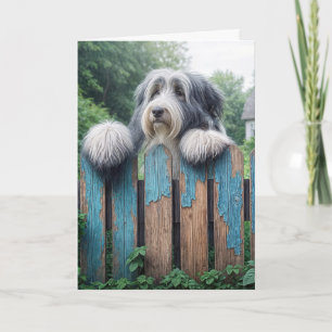 Carte Beared Collie Joyeux anniversaire