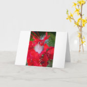 Carte Beau Alien Crimson.jpg (Fleur jaune)