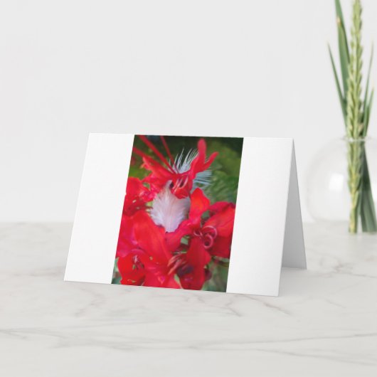 Carte Beau Alien Crimson.jpg (Devant)